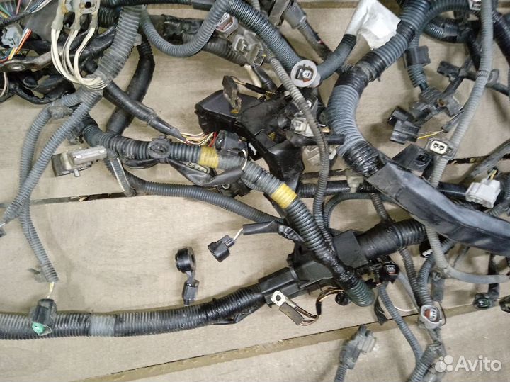 Toyota RAV4 (XA30) lll проводка (коса) подкапотная