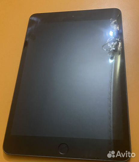 iPad mini 5