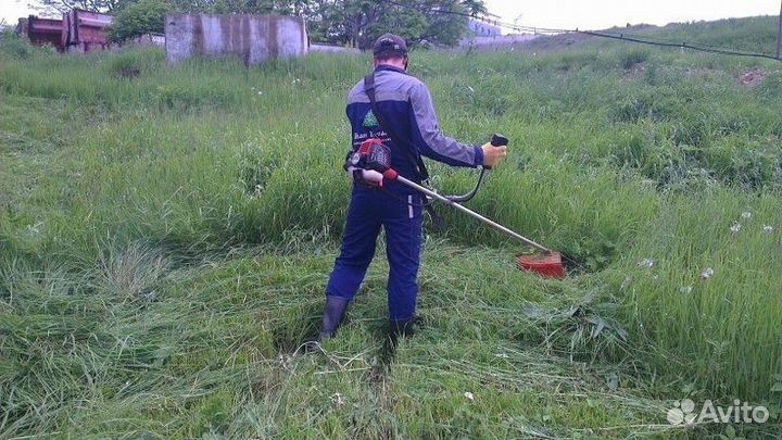 Покос травы триммером