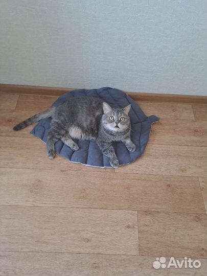 Лежанка коврик подстилка для животных