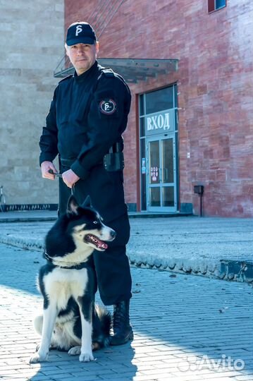 Оператор видеонаблюдения в пгт Сириус