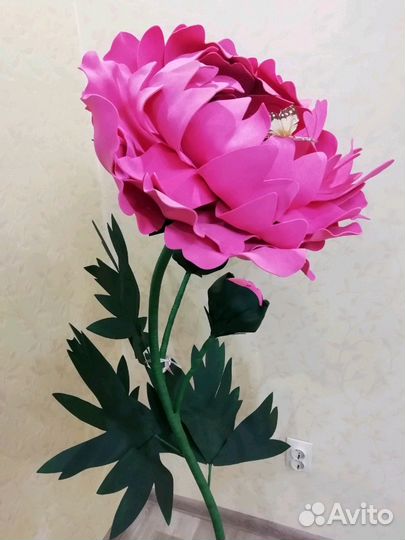 Интерьерные цветы