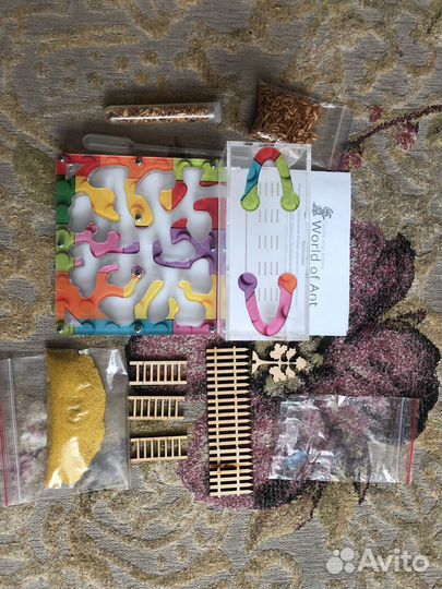 Муравьиная ферма