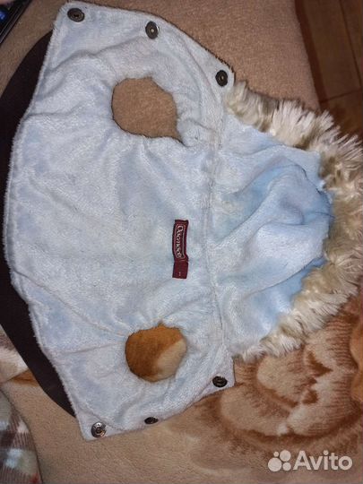 Одежда для маленьких собак