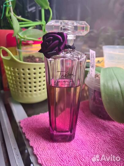 Lancome tresor midnight rose