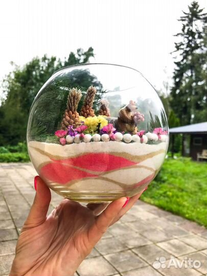 Флорариумы, моссариумы, суккуленты