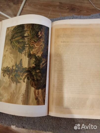 История земли Неймайр 1904 год