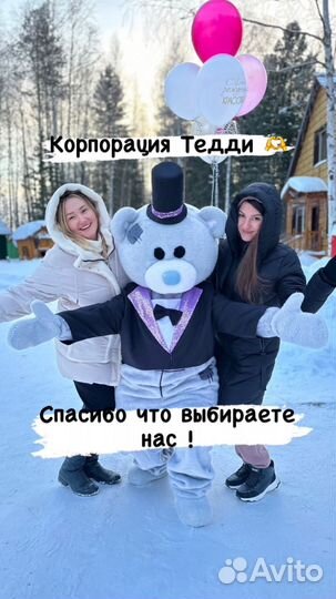 Мишка Тедди экспресс поздравление