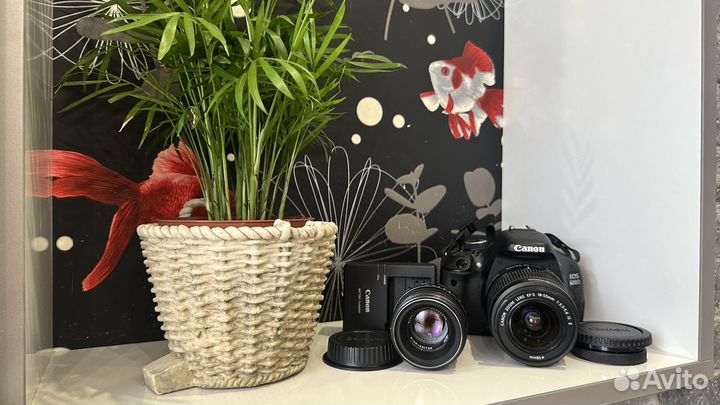 Фотоаппарат Canon Eos 600D Kit 18-55mm