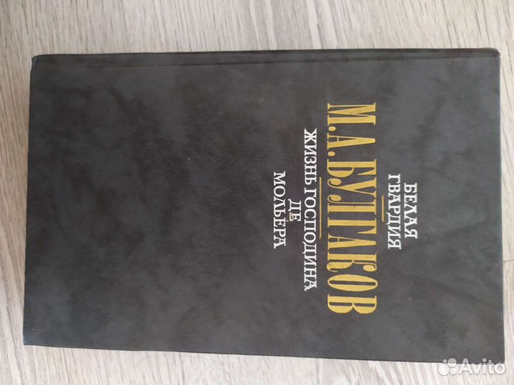 Книга Булгаков, Жизнь господина