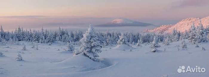 Авторские туры Алтай, Южный Урал