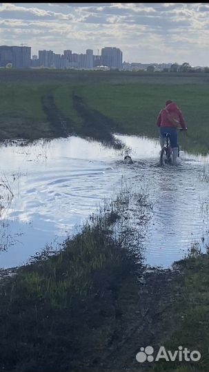 Велоинструктор.Обучение езде на велосипеде с нуля