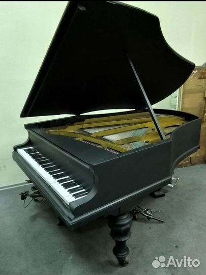 Рояль Bluthner, кабинетный 170 см