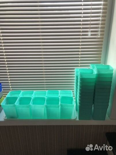 Стаканы для рассады