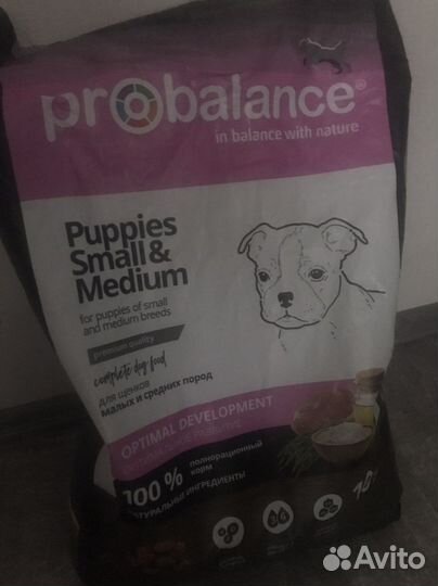 Корб и игрушки для собак