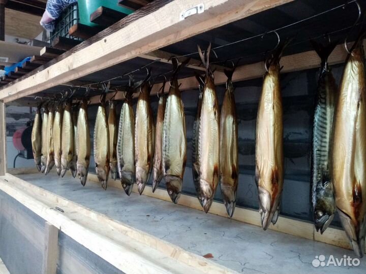 Рыба холодного, горячего копчения