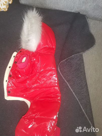 Комбинезон для маленькой собаки