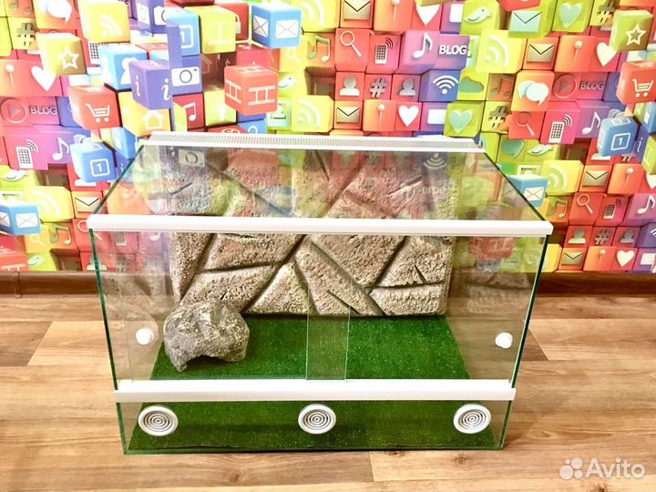 Террариум / Бородатая агама / Змея / Эублефар