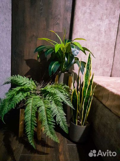 Папоротник искусственный