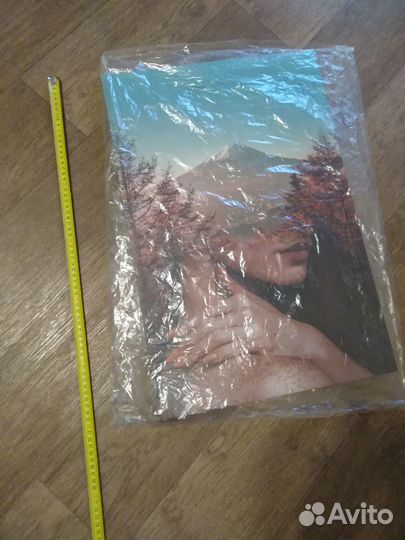 Картина-постер 60х40 новая