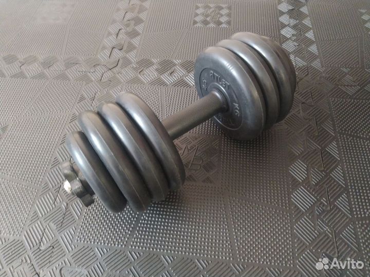 Гантель 19 кг вариант 2