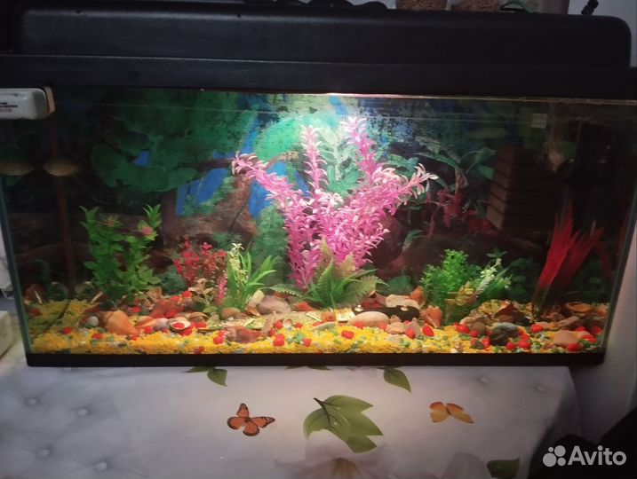 Украшения для аквариума