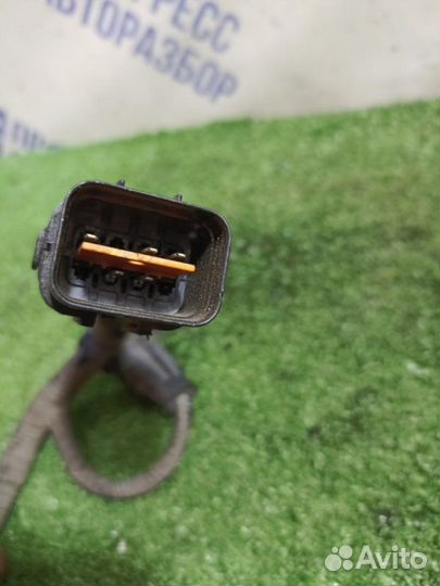 Проводка Kia Ceed хэтчбек 1.6 G4FC 2008