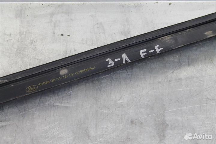 Уплотнитель стекла двери задней левой Ford Focus