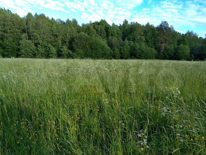 Участок 14 сот. (СНТ, ДНП)