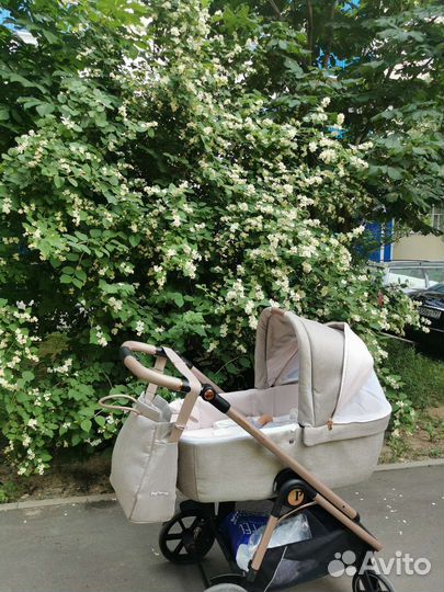 Peg perego veloce коляска 2 в 1