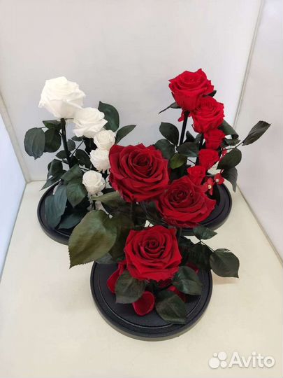 Роза в колбе оптом