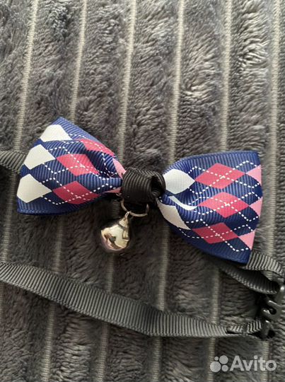 Боди, бабочки, воротники, галстуки для питомцев