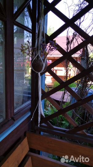 Кашпо для цветов подвесное макраме