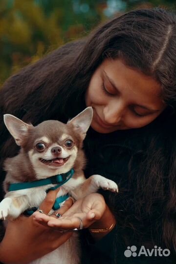 Фотосессия