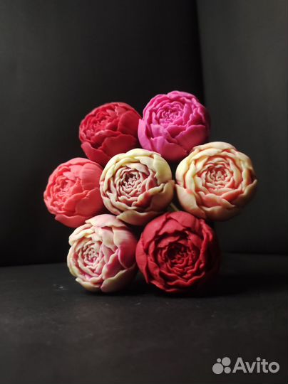 7 Пионов из Бельгийского Шоклада