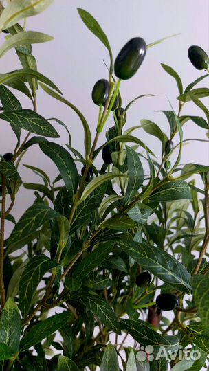 Искусственное дерево растение олива