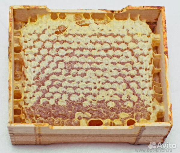 Соты или сотовый мёд