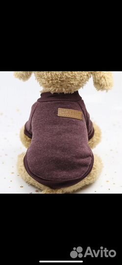 Одежда для собак и кошек