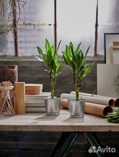 Кашпо IKEA