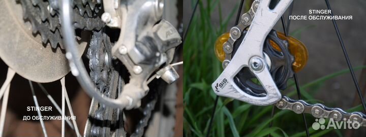 Веломастер