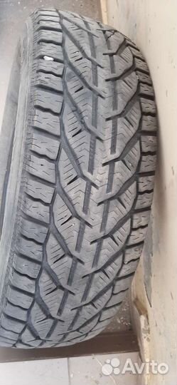 Tigar Winter 205/65 R16 95H