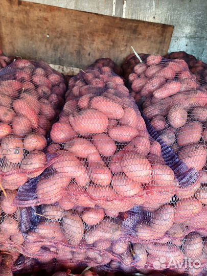 Картофель с доставкой