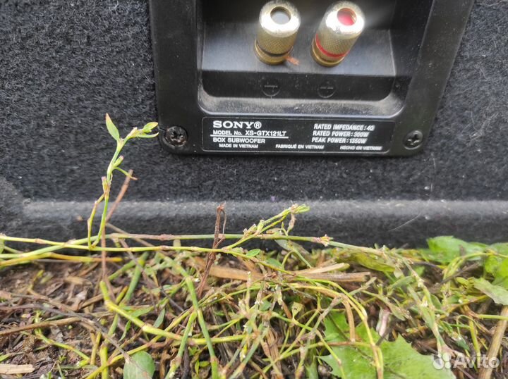 Буфер + усилитель