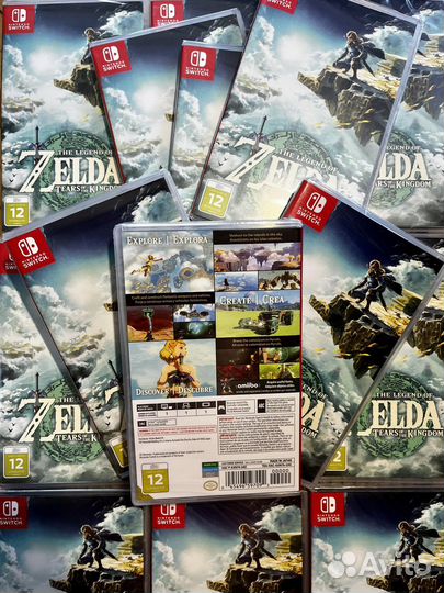 The Legend of Zelda: Tears of Kingdom ns