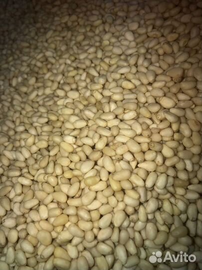 Очищенный кедровый орех (ядра)