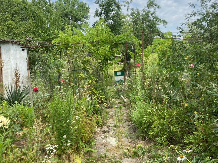 Участок 6 сот. (ИЖС)