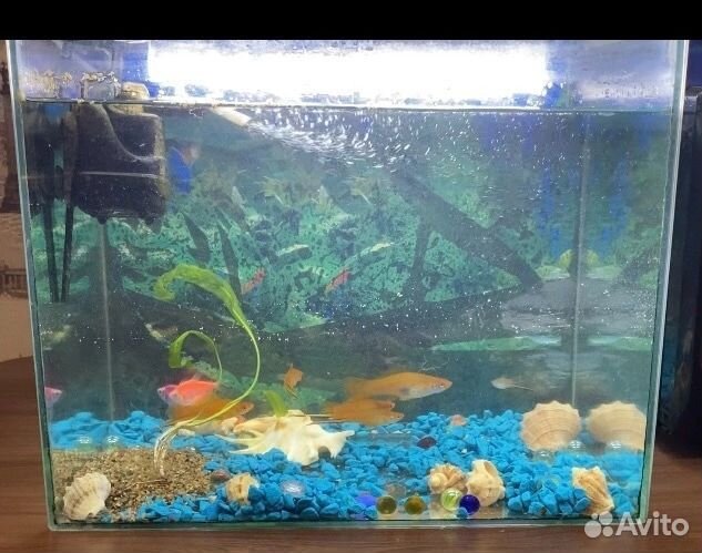 Аквариум