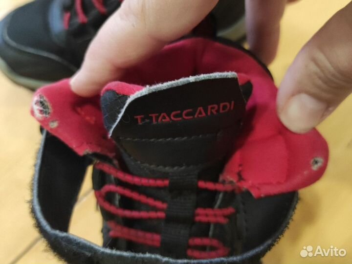 Ботинки демисезонные T taccardi