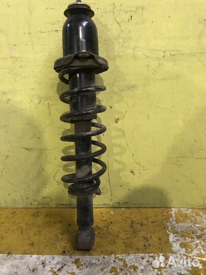 Амортизатор задний Toyota Corolla
