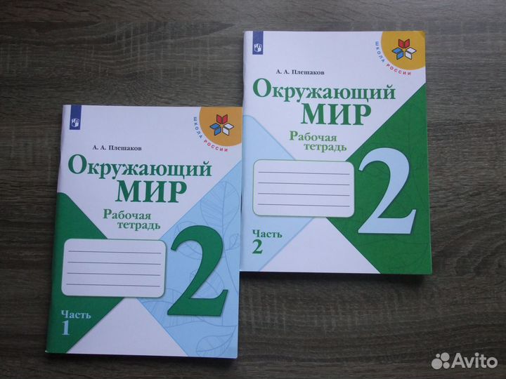 Плешаков Окружающий мир 2 класс Рабочая тетрадь